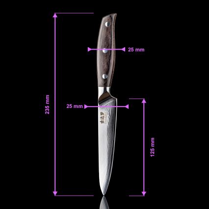 Gudaro - Conjunto de 5 facas de cozinha em aço damasco SHIRO + suporte magnético
