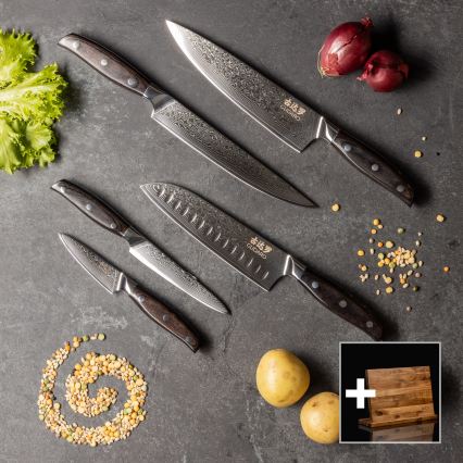 Gudaro - Conjunto de 5 facas de cozinha em aço damasco SHIRO + suporte magnético