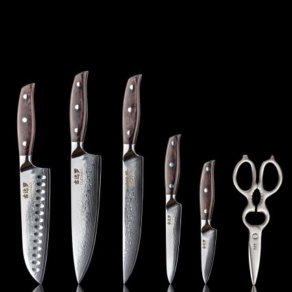 Gudaro - Conjunto de 5 Facas de Cozinha em Aço Damasco SHIRO + Suporte para Facas e Tesoura para Aves