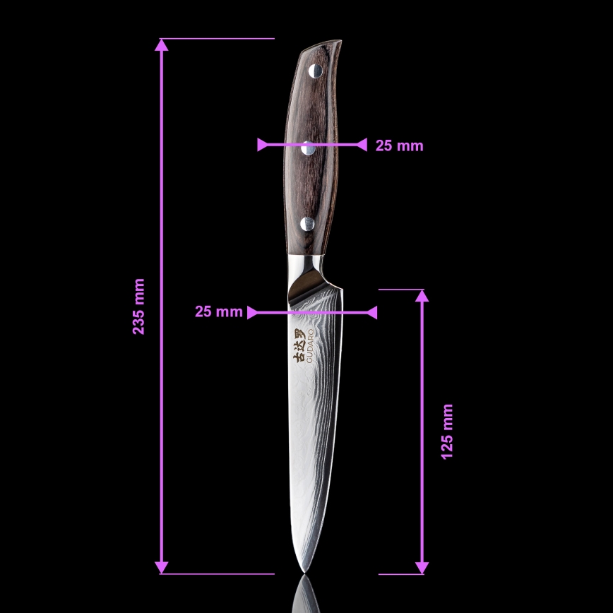 Gudaro - Conjunto de 5 Facas de Cozinha em Aço Damasco SHIRO + Suporte para Facas e Tesoura para Aves