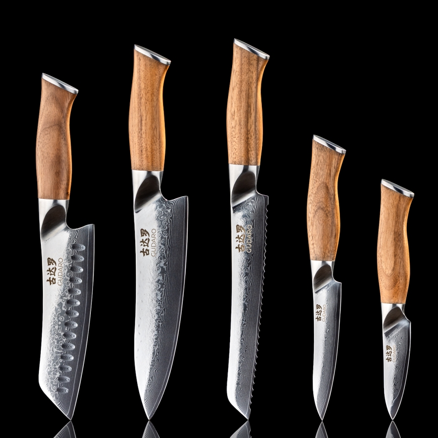 Gudaro - Conjunto de 5 facas de cozinha em aço Damasco TAKUMI + suporte magnético