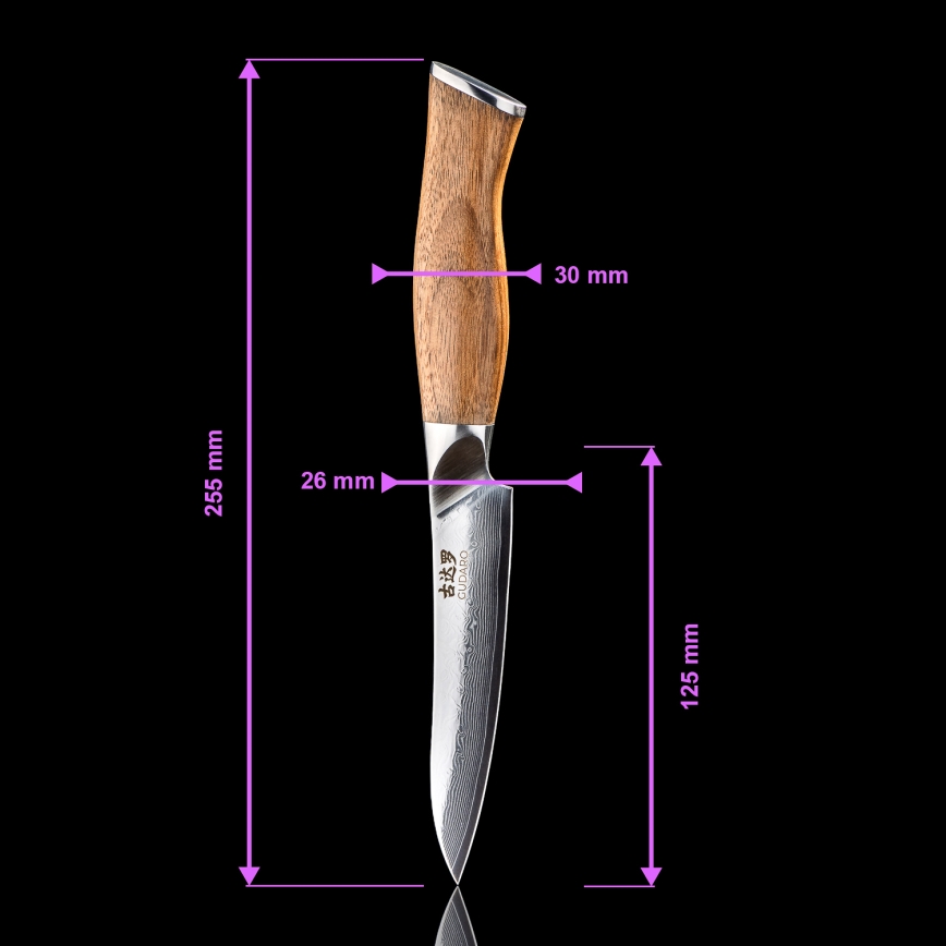 Gudaro - Conjunto de 5 facas de cozinha em aço Damasco TAKUMI + suporte magnético
