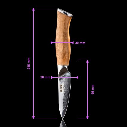 Gudaro - Conjunto de 5 facas de cozinha em aço Damasco TAKUMI + suporte magnético