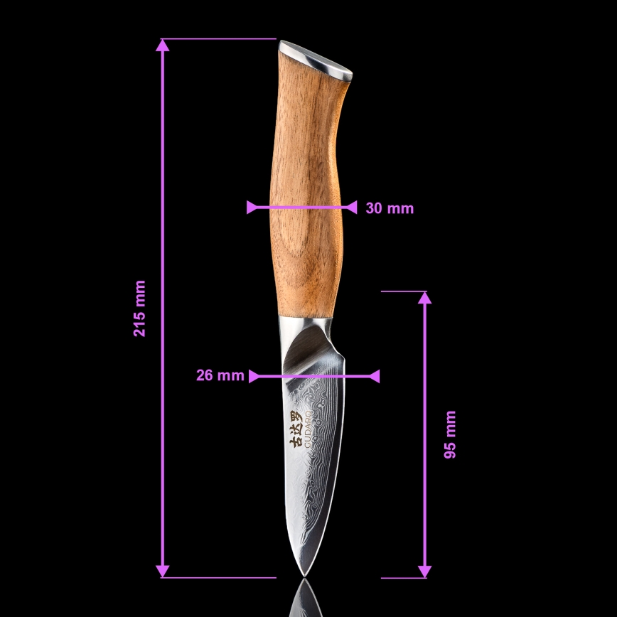 Gudaro - Conjunto de 5 facas de cozinha em aço Damasco TAKUMI + suporte magnético