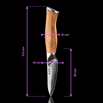 Gudaro - Faca de cozinha em aço Damasco TAKUMI 3,5, 67 camadas de aço, comprimento da lâmina 9,5 cm, cabo em nogueira