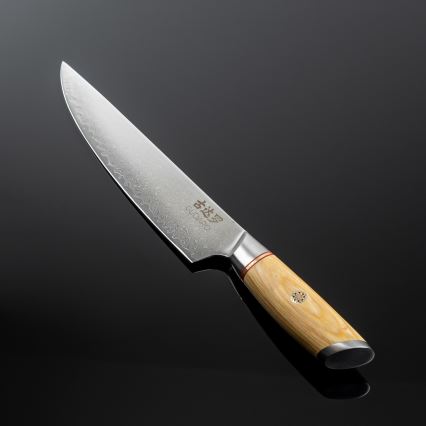 Gudaro - Faca para porcionar HIKARI 8, aço damasco com 67 camadas, comprimento 20 cm
