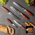 Gudaro - Jogo de 5 facas de cozinha em aço damasco KENSHO + suporte magnético