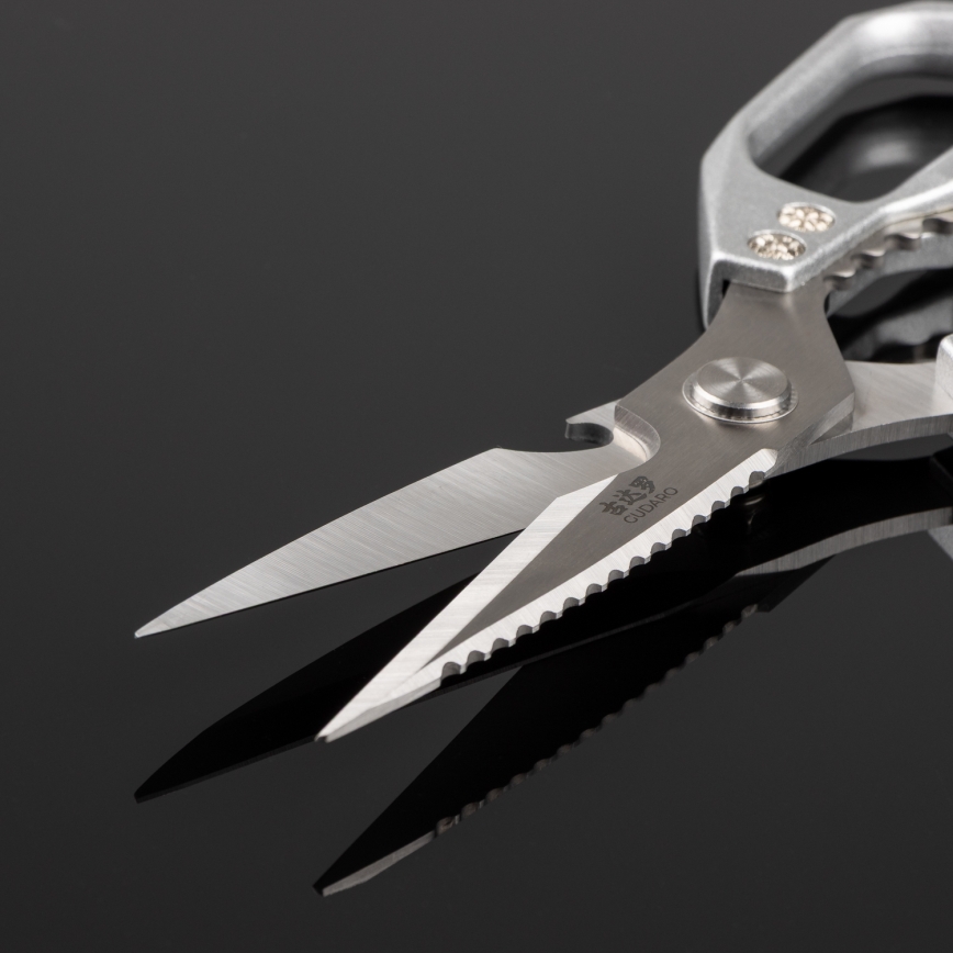 Gudaro - Tesoura para aves SHOGUN 23,3 cm prateada