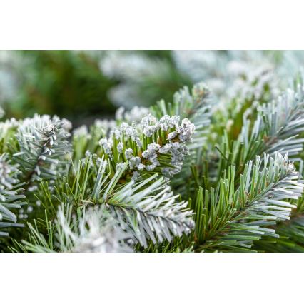 Guirlanda de Natal, diâmetro 54 cm