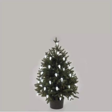 Guirlanda de Natal LED para exterior, 50 LEDs, 8 funções, 14,8 m, IP44, branco frio