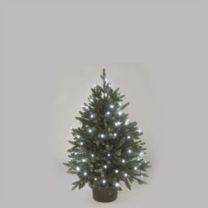 Guirlanda LED para exterior, 80 LEDs / 13 m, IP44, branco frio