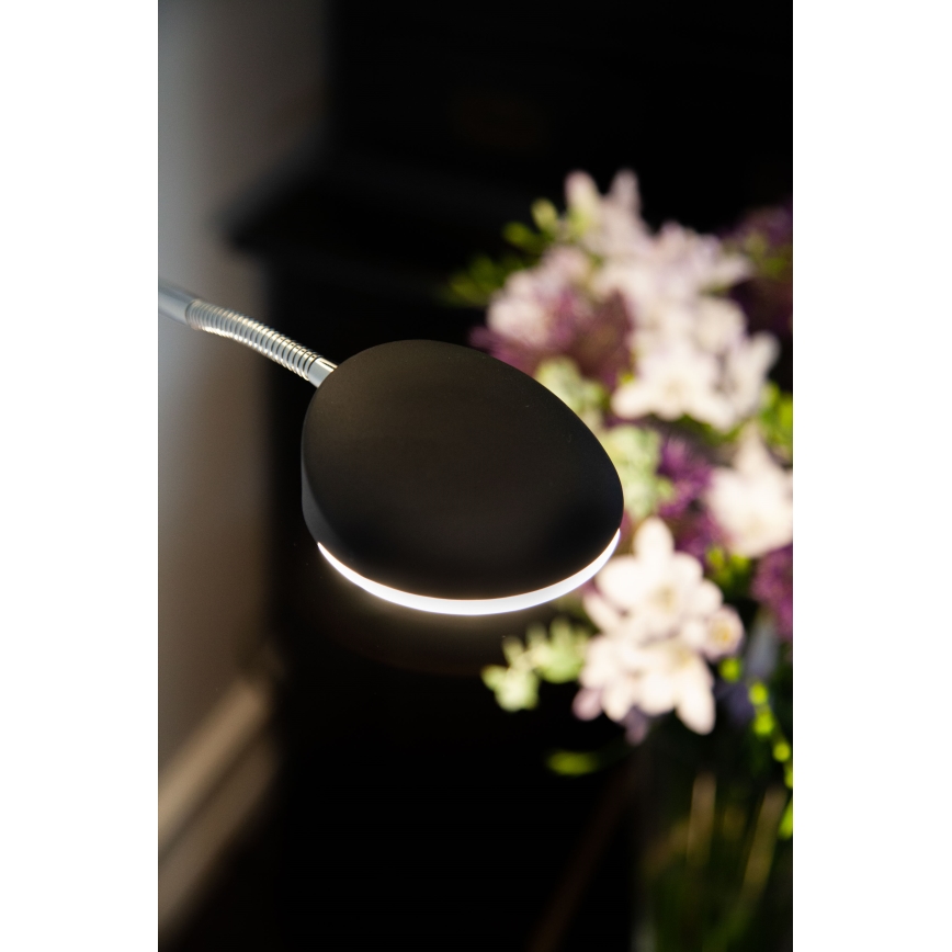 Halo Design 716067 - Candeeiro de pé LED dimerizável VEGAS LED/20W/230V + LED/5W preto/cromo brilhante