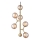 Halo Design 738861 - Lustre suspenso ATOM em cabo 6xG9/28W/230V Ø 30 cm latão/bege fumado