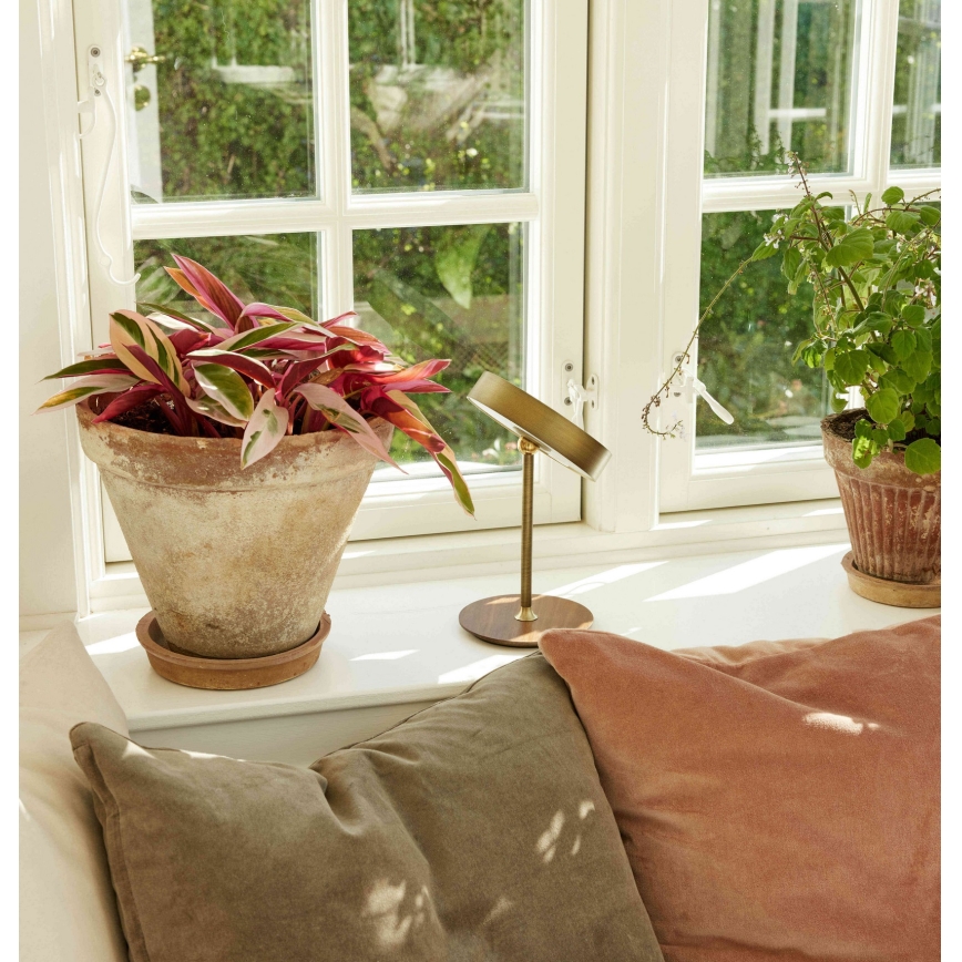 Halo Design 745784 - Candeeiro de mesa recarregável e regulável LED ON THE MOVE LED/2,5W/4000 mAh latão/madeira