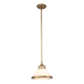 Hinkley - Candeeiro suspenso AMELIA 1xE27/60W/230V bronze
