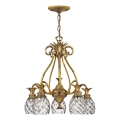 Hinkley - Candeeiro suspenso PLANTATION 5xE27/60W/230V dourado
