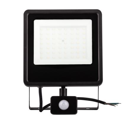 Holofote exterior LED com sensor LED/30W/230V 4000K IP65 preto