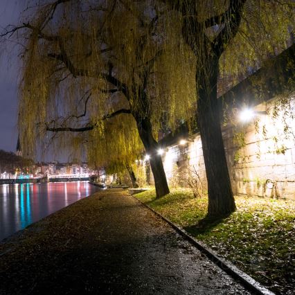 Holofote exterior LED LED/50W/230V 4000K 6500 lm IP65 IK06