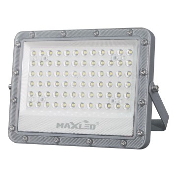 Holofote exterior LED LED/50W/230V 5000K IP65 cinzento