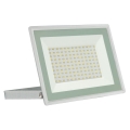 Holofote exterior LED NOCTIS LUX 3 LED/100W/230V 4000K IP65 branco