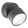 Ideal Lux - Arandela LED para exterior OMEGA LED/7W/230V CRI 90 IP54 antracite