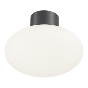 Ideal Lux - Candeeiro de tecto para exterior CLIO 1xE27/42W/230V IP44 antracite