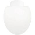 Ideal Lux - Candeeiro de teto para exterior CLIO 1xE27/42W/230V IP44 branco