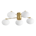 Ideal Lux - Candeeiro  integrado LED HERMES 5xG9/3W/230V diâmetro 60 cm dourado