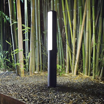 Ideal Lux - Candeeiro exterior LED ETERE LED/9,5W/230V 3000K 60 cm CRI 90 IP44 antracite