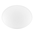 Ideal Lux - Cúpula de substituição universal NINFEA Ø 25 cm branca