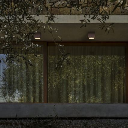 Ideal Lux - Foco de exterior TECHO 1xGU10/20W/230V 9x9 cm IP54 castanho