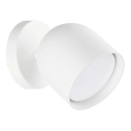 Ideal Lux - Foco de parede LED DODO 1xGX53/9W/230V branco