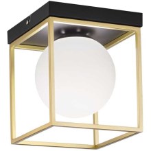 Ideal Lux - Iluminação de teto LINGOTTO 1xE14/40W/230V