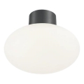 Ideal Lux - Luminária de teto exterior CLIO 1xE27/42W/230V IP44 antracite