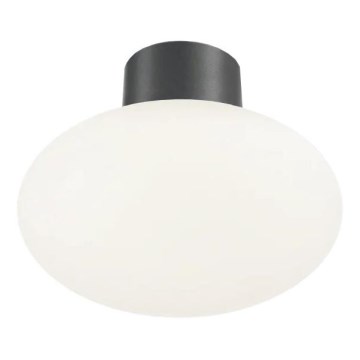 Ideal Lux - Luminária de teto exterior CLIO 1xE27/42W/230V IP44 antracite