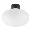 Ideal Lux - Luminária de teto exterior CLIO 1xE27/42W/230V IP44 preta