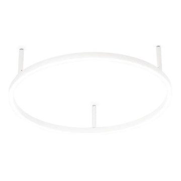 Ideal Lux - Luminária de teto LED ORACLE SLIM LED/29W/230V 4000K CRI 90 Ø 50 cm branca