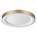 Ideal Lux - Luminária de teto LED PLANET LED/25W/230V CRI 90 diâmetro 50 cm latão