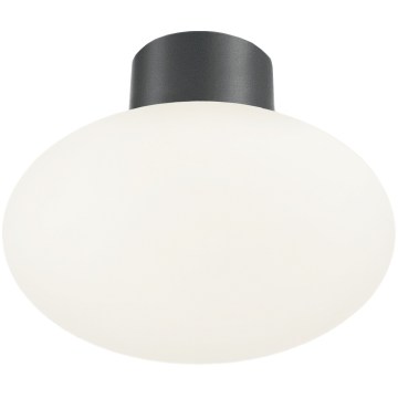 Ideal Lux - Luminária de teto para exterior CLIO 1xE27/42W/230V diâmetro 28 cm IP44 antracite