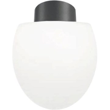 Ideal Lux - Luminária de teto para exterior CLIO 1xE27/42W/230V IP44 antracite