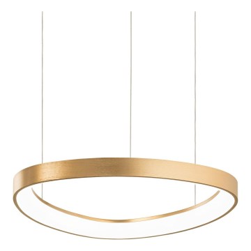 Ideal Lux - Lustre de LED suspenso por cabo GEMINI LED/36W/230V 4000K Ø 42,5 cm CRI 90 latão