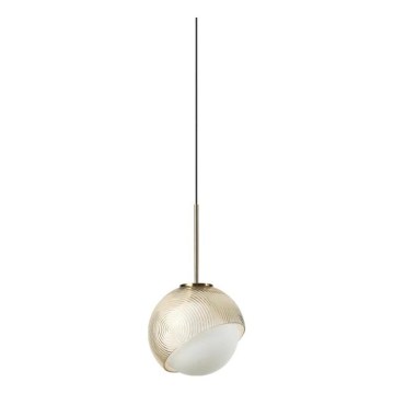 Ideal Lux - Lustre LED suspenso por cabo BLOOM 1xG9/3W/230V diâmetro 11,5 cm dourado/bege fumado