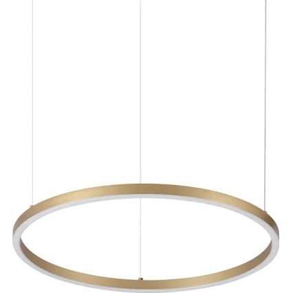 Ideal Lux - Lustre LED com cabo ORACLE SLIM LED/29W/230V 3000K CRI 90 Ø 50 cm dourado