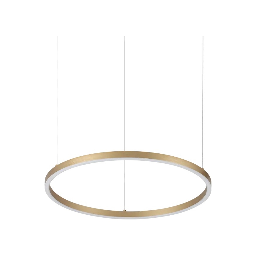 Ideal Lux - Lustre LED com cabo ORACLE SLIM LED/29W/230V 3000K CRI 90 Ø 50 cm dourado