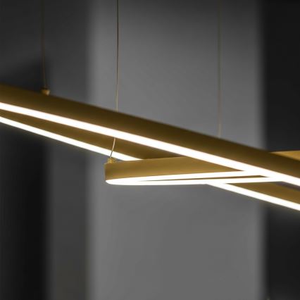 Ideal Lux - Lustre LED suspenso por cabo ORACLE SLIM LED/53W/230V 3000K CRI 90 diâmetro 90 cm dourado