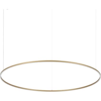 Ideal Lux - Lustre LED suspenso por cabo ORACLE SLIM LED/81W/230V 3000K CRI 90 Ø 150 cm dourado