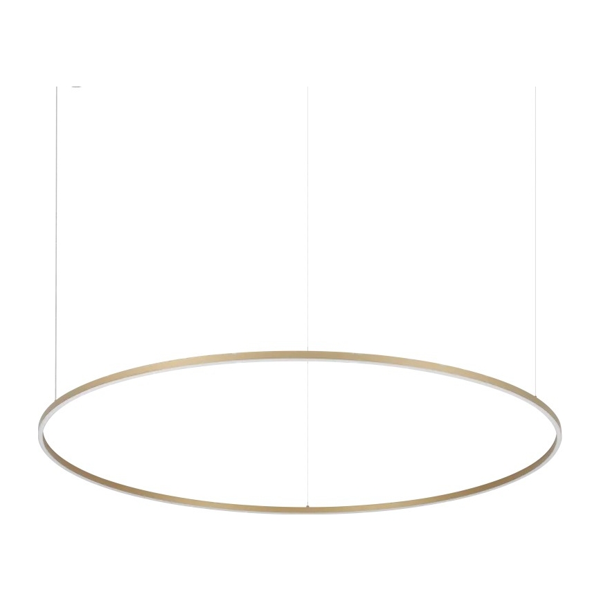 Ideal Lux - Lustre LED suspenso por cabo ORACLE SLIM LED/81W/230V 3000K CRI 90 Ø 150 cm dourado