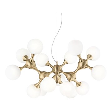 Ideal Lux - Lustre suspenso em cabo NODI 15xE14/28W/230V Ø 105 cm latão/branco