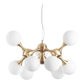 Ideal Lux - Lustre suspenso em cabo NODI 9xE14/28W/230V Ø 80 cm latão/branco