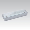 Iluminação de emergência CARLA LED LED/5,51W/230V temporary 1h IP65